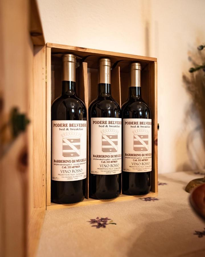 Podere Belvedere Barberino di Mugello Esterno foto